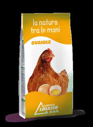 OVAIOLA PER GALLINE